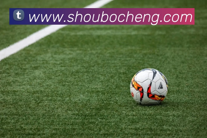 九游体育平台生态图